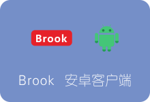 Brook 安卓手机客户端下载及使用教程 新型代理VPN-SSR中文网