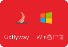 Goflyway Windows客户端下载及使用教程 Goflyway搭建 v2版本-SSR中文网